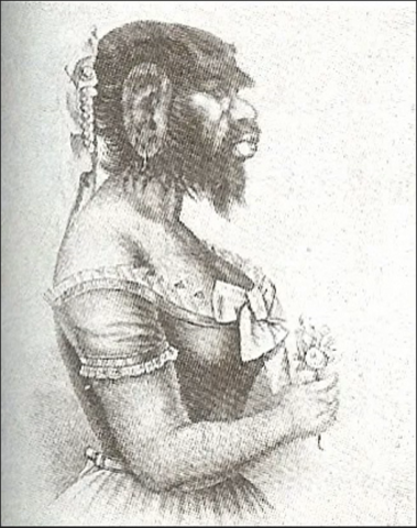 vrouw met de baard (stock foto)