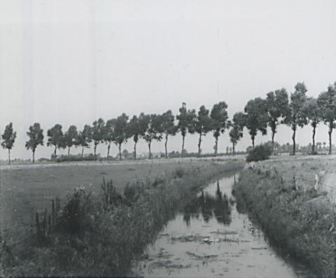 Weilanden en een beek